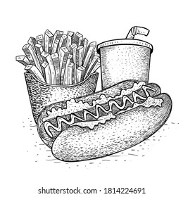 vector hot dog pack, fast food illustration