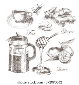 vector hot drink sketch drawing with lemon, ginger, teapot, honeystick. vintage style food illustration