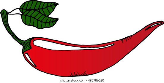 vector hot pepper/painted chili/pepper pattern