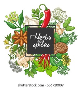 Vector hot square design with spices and herbs. Decorative colorful composition with type design