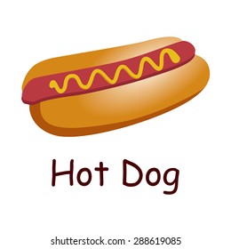 Vector Hot-Dog illustration