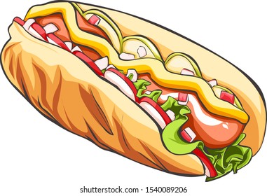 Vector hotdog with perfect illustration