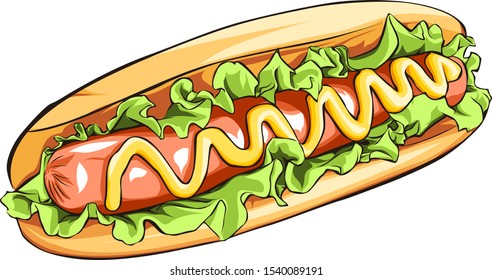 Vector hotdog perfect for your store  cafe