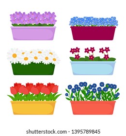 Vector house and garden flowers in long pots vector isolated on white background. Illustration of plant in pot, colored flower growth