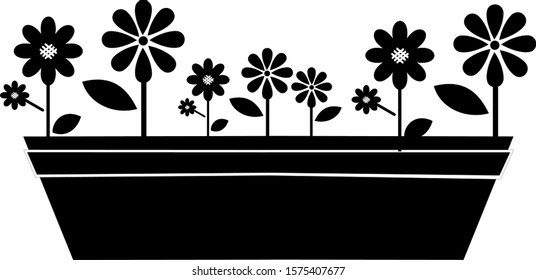 Vector house and garden flowers in long pots vector isolated on white background. Illustration of plant in po