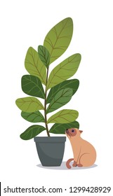 Vector house indoor plant with cat, potted plant on white background. Flat colorful vector illustration