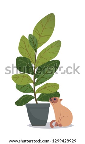 Vector house indoor plant with cat, potted plant on white background. Flat colorful vector illustration