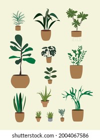 vector house plant collection items  eps 10 pots 