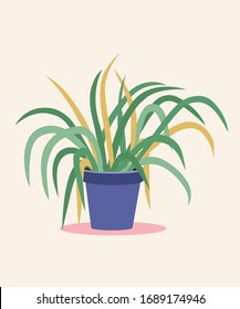 Vector house plant in the flowerpot. Can be used as print, postcard, poster, invitation, greeting card, packaging design, template, textile and so on.