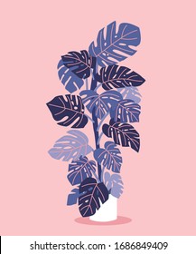 Vector house plant in the pot. Can be used as print, postcard, invitation, greeting card, packaging design, poster, sticker, textile design and so on. 
