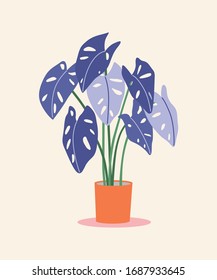 Vector house plant in the pot. Can be used as print, poster, postcard, invitation, greeting card, packaging design, textile, stickers, and so on.