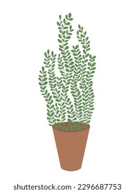 Vector house plant in pot isolated. Flat money tree flower