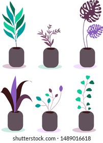 Vector house plants collection or set. Trendy scandinavian print, illustration, Cozy design. 