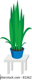 Vector house plants in dark blue pots on gray table  - color isolated illustration on white background