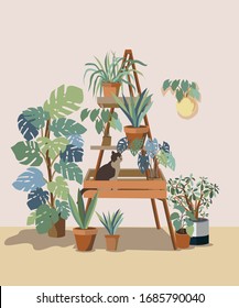 Vector house plants illustration. Can be used as print, postcard, magazine illustration, packaging design, books illustration and so on.