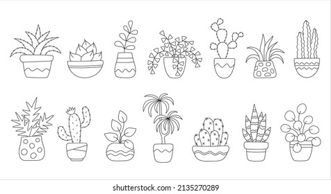 Vector House plants outline drawings. Cute houseplants in pots: cactus, dracena, aloe, snake plant, ficus and others. Hand drawn cartoon doodle set of home indoor plant. Black and white sketch.