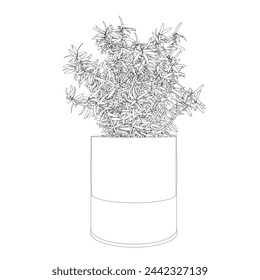 Vector de plantas de la casa en macetas, dibujos de contorno sobre un fondo blanco.
