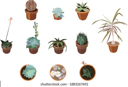 Vector house plants in pots. Set of elements for the design of postcards, flyers, internet posts, web advertising, advertising packaging