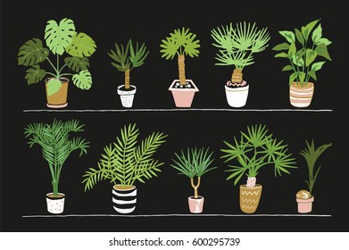  Vector house tropical palm plant pot set.