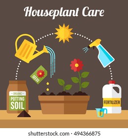 Vector houseplant growth and care infographics. Flat style.