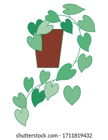 Vector houseplant illustration. can be used as print, postcard, label, packaging design, textile, invitation, element design and so on.