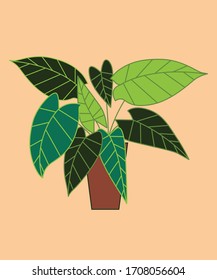 Vector houseplant in the pot. Can be used as print, poster, textile design, postcard, invitation, label, packaging design, sticker and so on. 