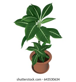 Vector houseplant in a pot. Home flat flower illustration