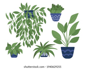 Vector houseplant set. Hand drawn different kinds of plants in cute pots isolated. Home decor, sticker, greeting card.