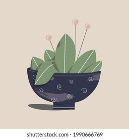 Vector houseplant
 sweet minimal design