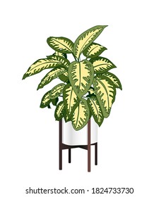 Vector Houseplants in a container for indoor use as a house plant in pots. Home gardening concept. Modern flat vector illustration.