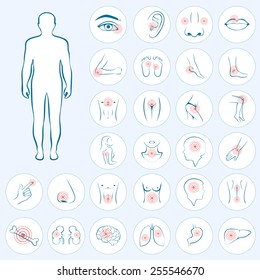 Vector Human Anatomy, Body Pain, Medical Illustration 