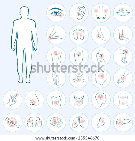 vector human anatomy, body pain, medical illustration 