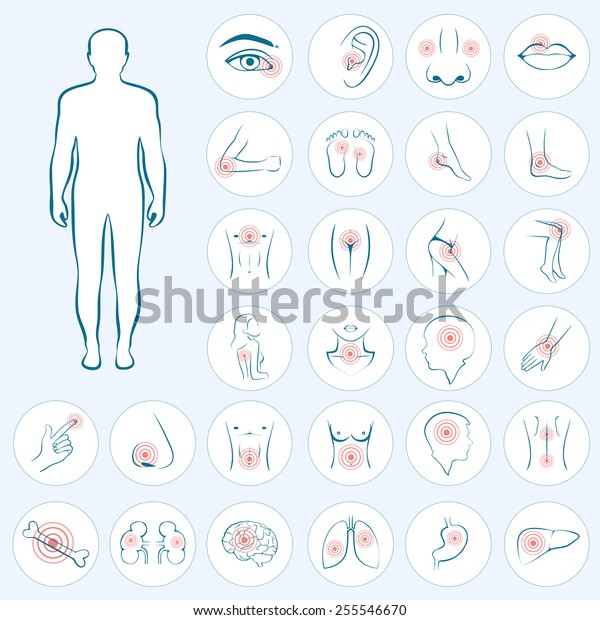 Menschliche Anatomie Korperschmerzen Medizinische Illustration Stock Vektorgrafik Lizenzfrei