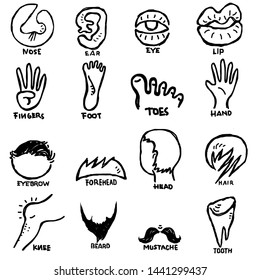 Vector Human Body Parts Pack