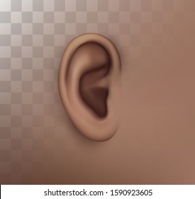 vector human ear. hearing treatment, plastic surgery, implantation