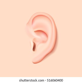 Vector  human ear. Photo-realistic illustration of people ear, different shapes and forms. Poster, banner, print, web design element.