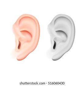 Vector  human ear set. Photo-realistic illustration of people ear, different shapes and forms isolated. Poster, banner, print, web design element. Black and white and real color.