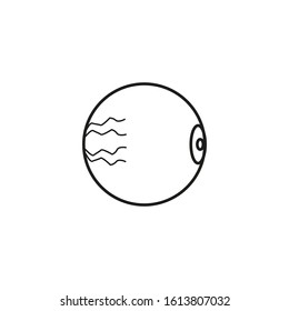 vector human eyeball anatomy icon