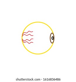 vector human eyeball anatomy icon