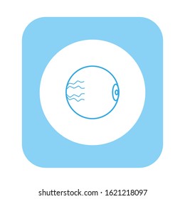 vector human eyeball anatomy icon