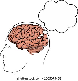 vector human face brown silhouette with brain inside