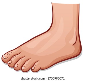 Dibujo de pie humano vectorial aislado