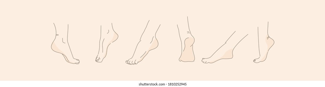 Vector human foot in various poses. Hand drawing with a line. Set of female feet for design.