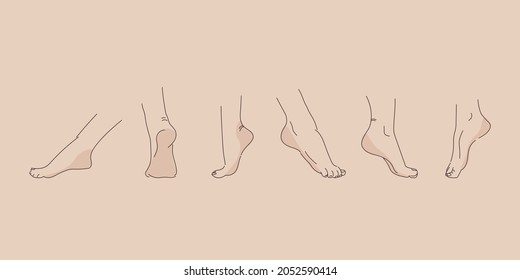 Vector human foot in various poses. Hand drawing with a line. Set of female feet for design.