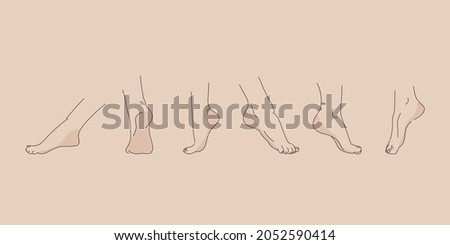 Vector human foot in various poses. Hand drawing with a line. Set of female feet for design.