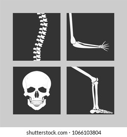 vector human head skull arms legs spine set
