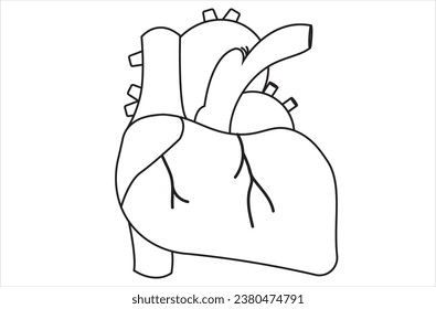 vector corazón humano sobre fondo blanco Anatomía cardiaca humana saludable. Órgano interno. Concepto de cardiología. Ilustración vectorial en un estilo plano de moda aislado en el fondo blanco.