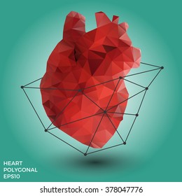 Vector human heart of polygons in basket of lines with shadow. Can be used in medical theme or for backgrounds.