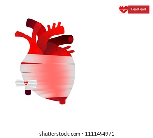 Vector of human heart wounded to heal by medicine bandage and isolated on white background.