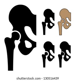 Vector Human Hip Joint Symbols